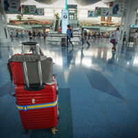 高校でのオーストラリア留学で定番の都市｜ブリスベン